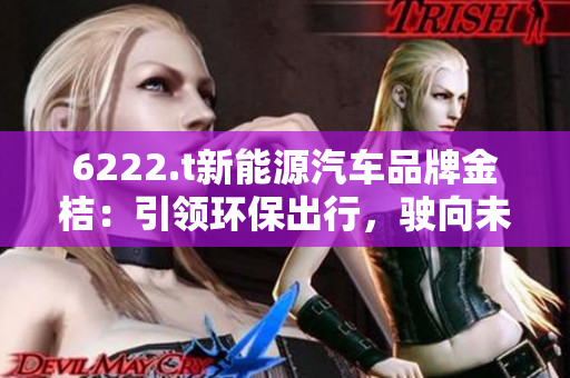6222.t新能源汽車(chē)品牌金桔：引領(lǐng)環(huán)保出行，駛向未來(lái)