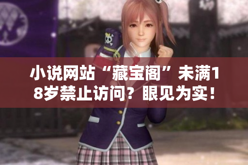 小說(shuō)網(wǎng)站“藏寶閣”未滿18歲禁止訪問(wèn)？眼見(jiàn)為實(shí)！