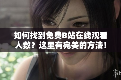 如何找到免費B站在線觀看人數(shù)？這里有完美的方法！