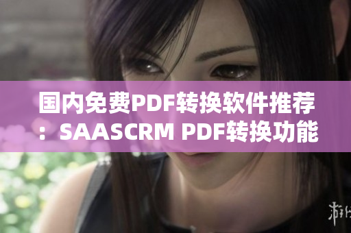 國內(nèi)免費PDF轉換軟件推薦：SAASCRM PDF轉換功能評測及使用指南