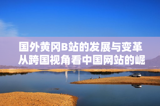 國(guó)外黃岡B站的發(fā)展與變革 從跨國(guó)視角看中國(guó)網(wǎng)站的崛起