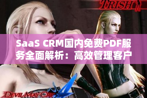 SaaS CRM國內(nèi)免費(fèi)PDF服務(wù)全面解析：高效管理客戶關(guān)系新利器