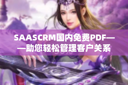 SAASCRM國內(nèi)免費PDF——助您輕松管理客戶關系