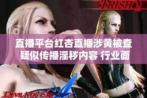 直播平臺紅杏直播涉黃被查 疑似傳播淫穢內(nèi)容 行業(yè)面臨整改風(fēng)波