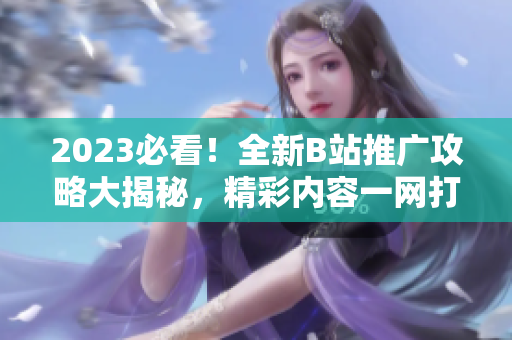 2023必看！全新B站推廣攻略大揭秘，精彩內(nèi)容一網(wǎng)打盡