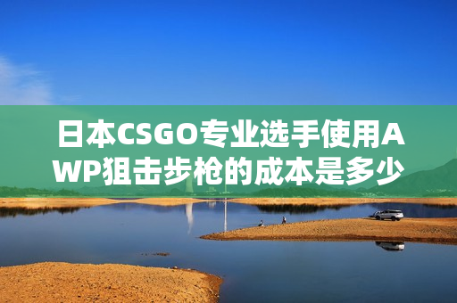 日本CSGO專業(yè)選手使用AWP狙擊步槍的成本是多少？