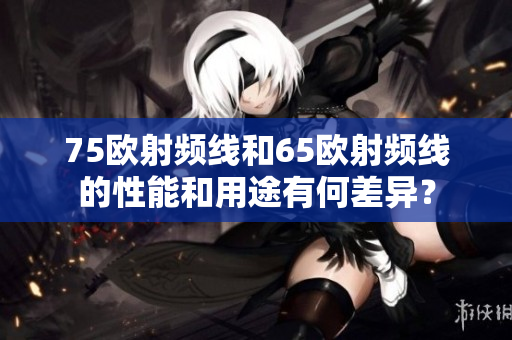 75歐射頻線和65歐射頻線的性能和用途有何差異？